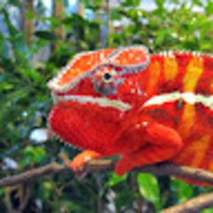 Meet your Posher, Derek